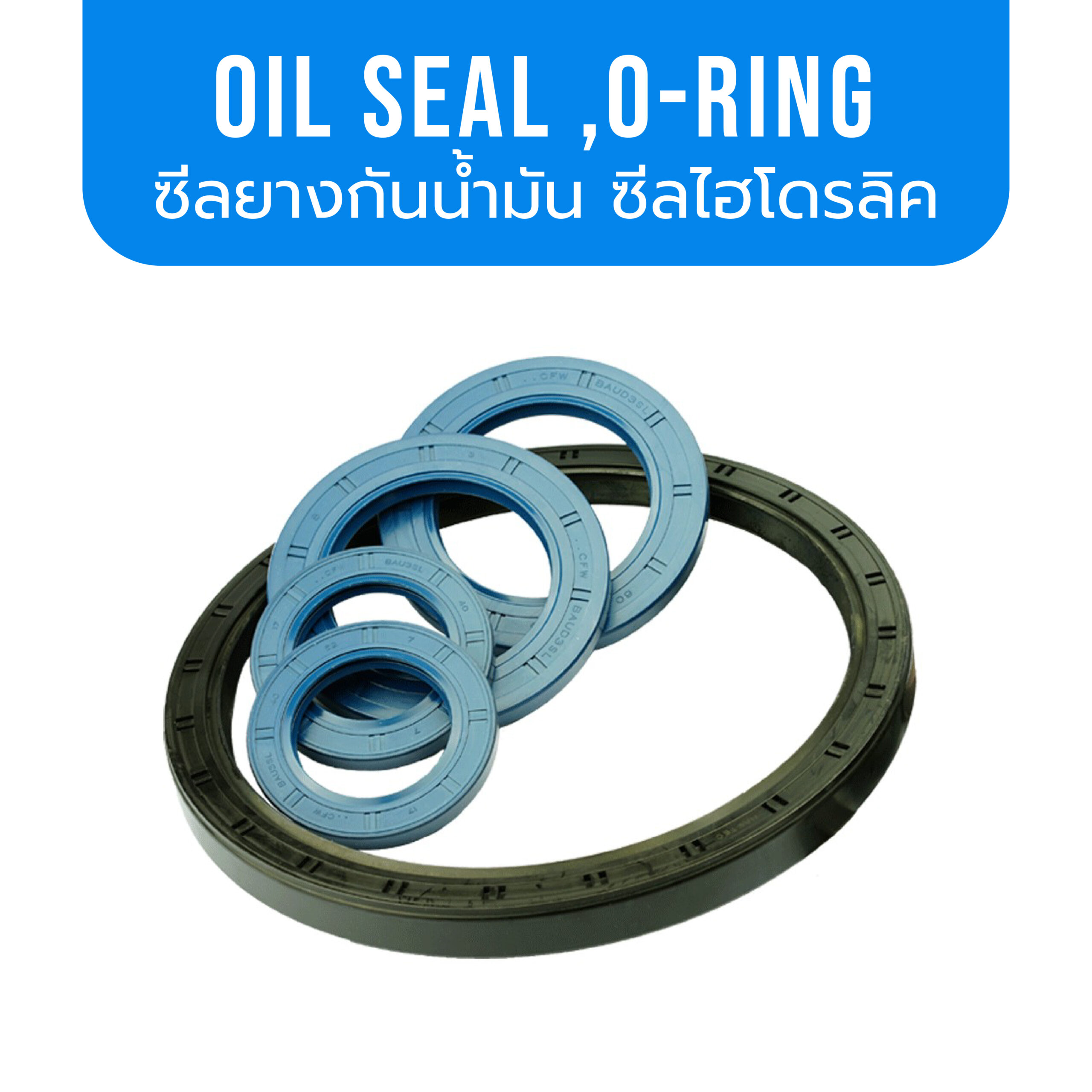 OIL SEAL ,O-Ring